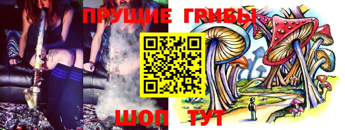 Чайковский  Псилоцибиновые грибы мицелий  что такое   Вход с VPN 