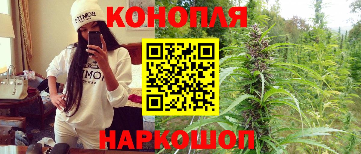 Конопля сатива  Вход с VPN  Конопля индика  МАРИХУАНА Bruce Banner  Чайковский  Конопля планчик 